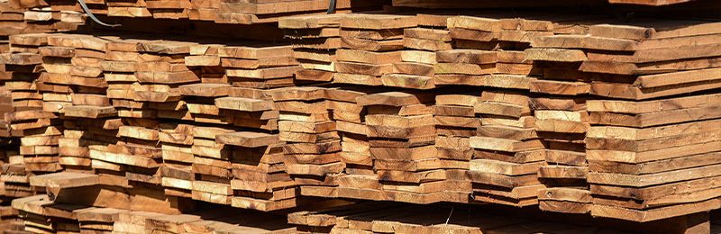 Descubrí los principales usos de la madera saligna
